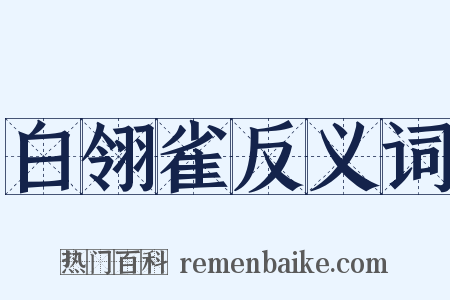 白翎雀反义词是什么意思的图片